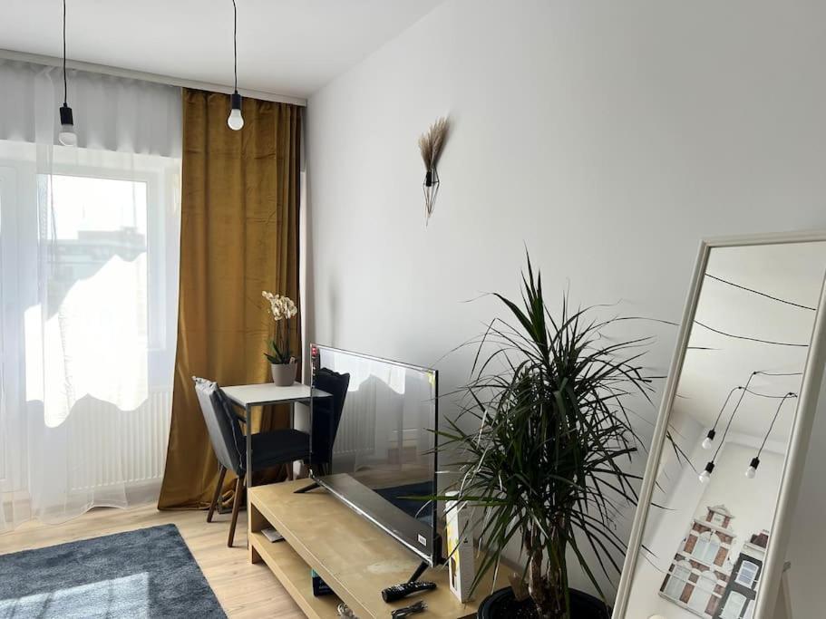Apartment Riverside View